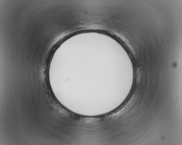 X0000116891163201001191759