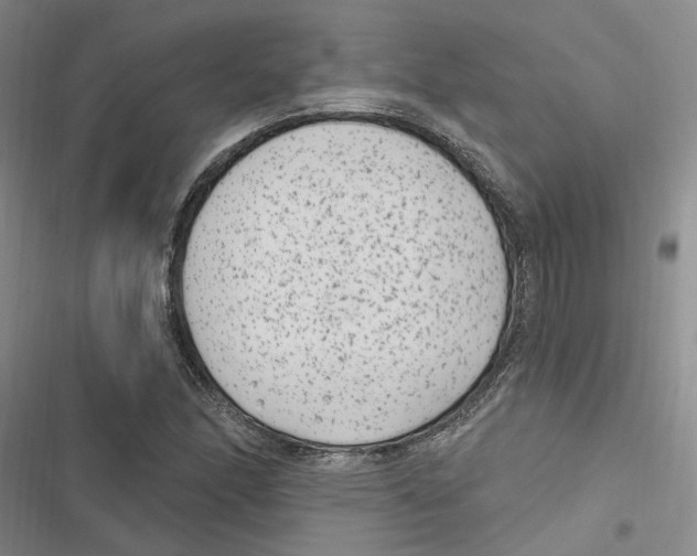 X0000116891166201001191759