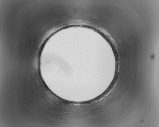 X0000116891167201001191759