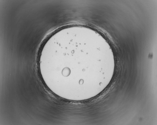 X0000116891168201001191759