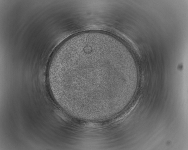 X0000116891170201001191759