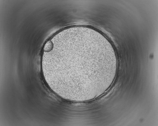 X0000116891171201001191759