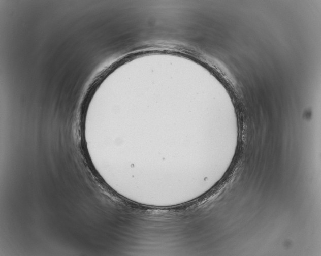 X0000116891172201001191759