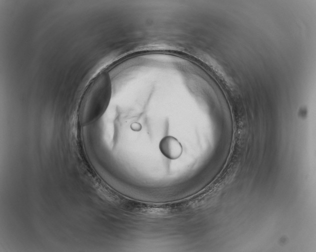 X0000116891173201001191759