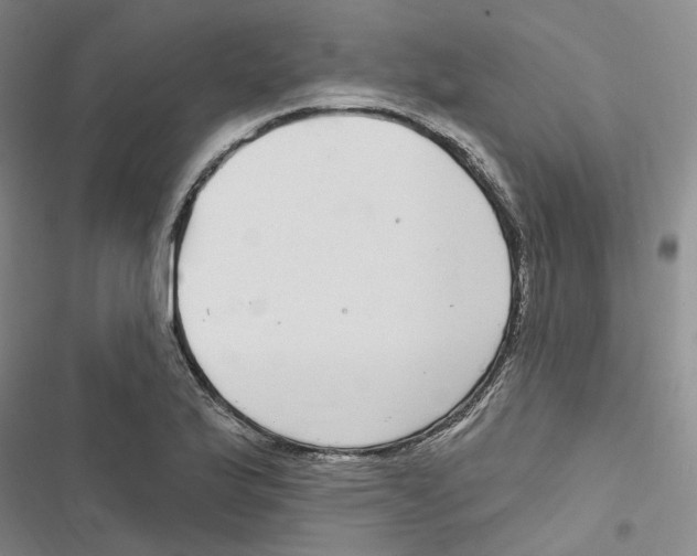 X0000116891175201001191759