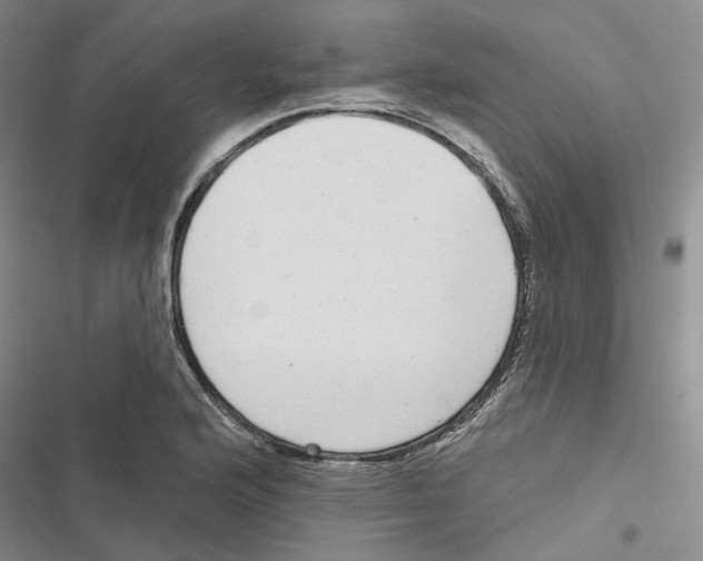 X0000116891176201001191759