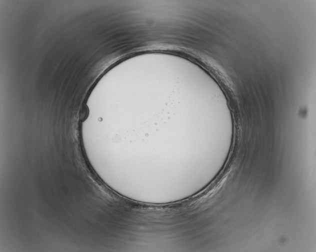 X0000116891177201001191759