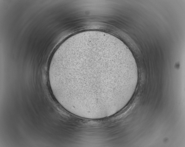 X0000116891178201001191759