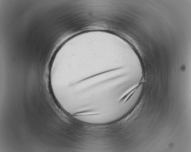 X0000116891179201001191759