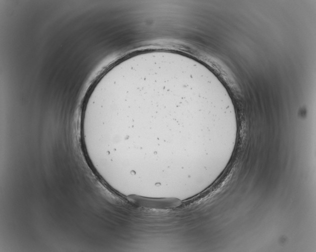 X0000116891180201001191759