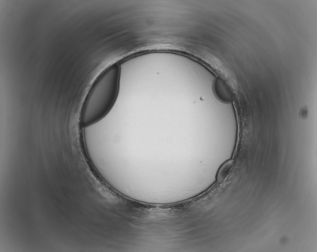 X0000116891181201001191759