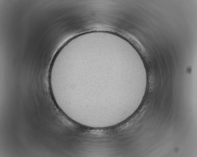 X0000116891182201001191759