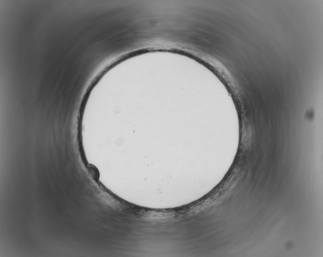 X0000116891183201001191759