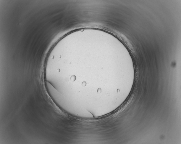 X0000116891184201001191759