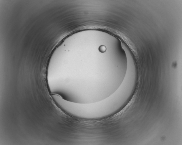 X0000116891185201001191759