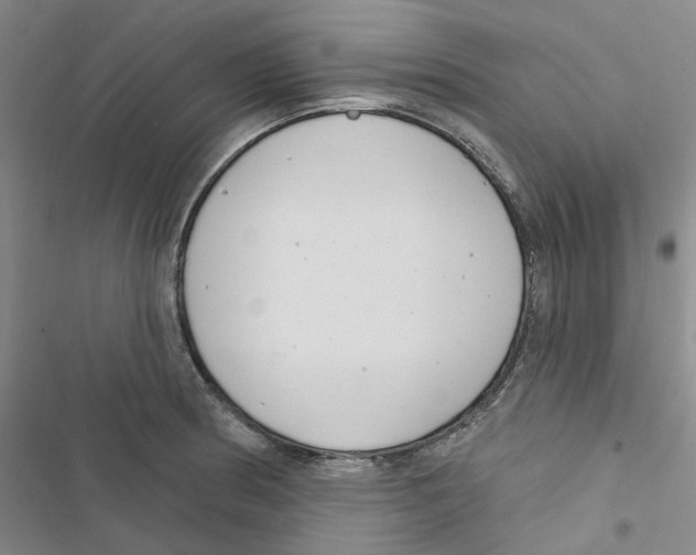 X0000116891186201001191759