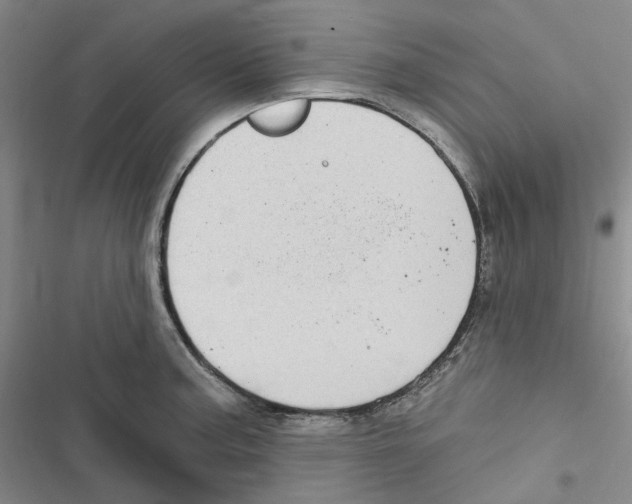 X0000116891187201001191759