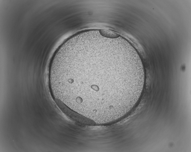 X0000116891188201001191759