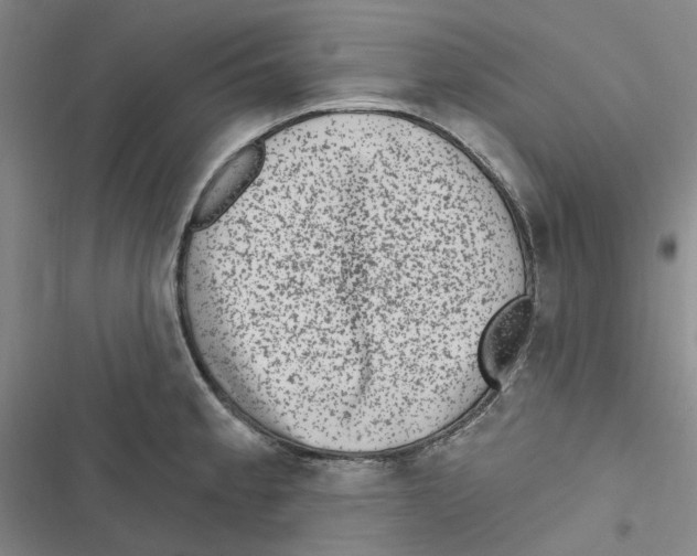 X0000116891189201001191759