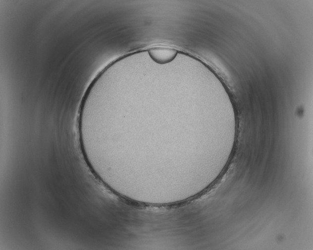 X0000116891190201001191759