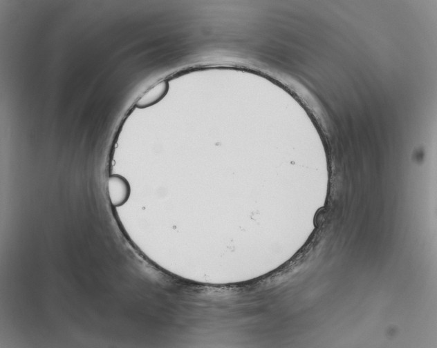 X0000116891191201001191759