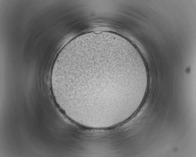 X0000116891193201001191759