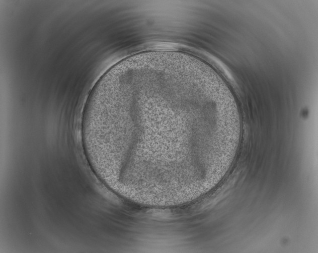 X0000116891194201001191759