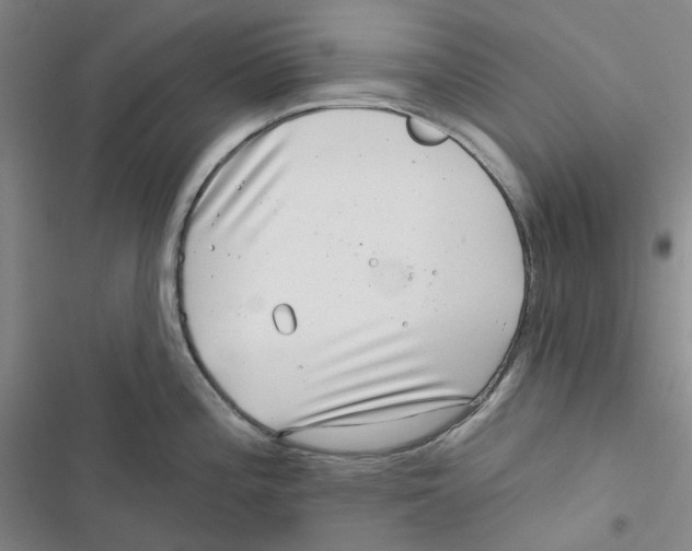 X0000116891196201001191759