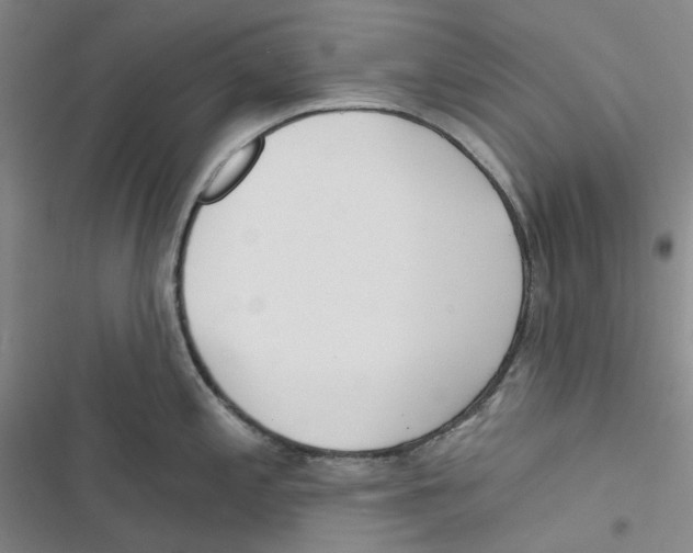 X0000116891197201001191759