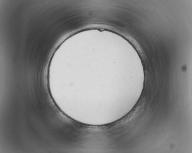 X0000116891199201001191759