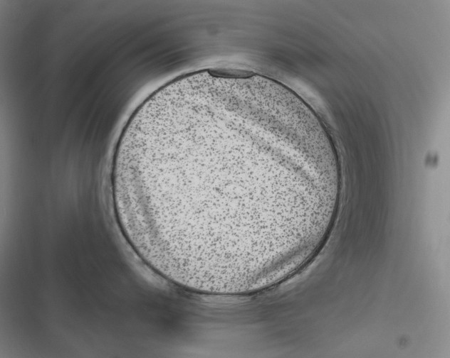 X0000116891200201001191759