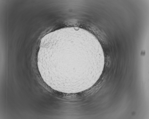 X0000116891201201001191758