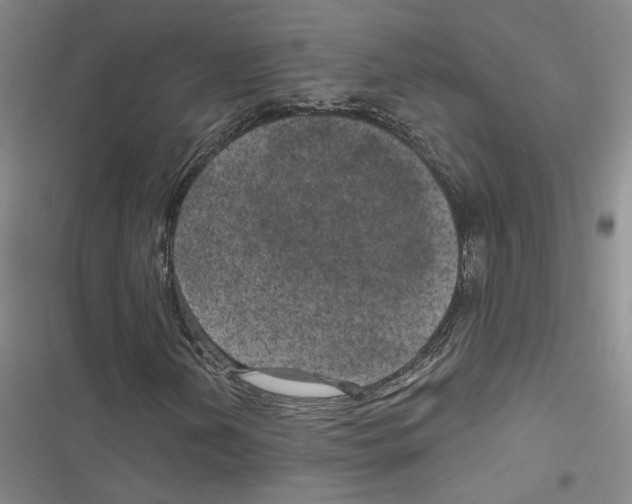 X0000116891202201001191758