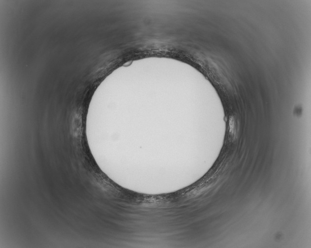 X0000116891203201001191758