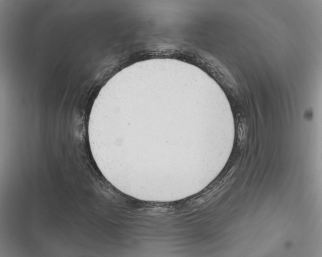 X0000116891204201001191758