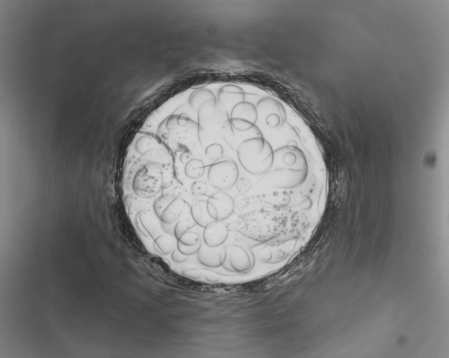 X0000116891205201001191758