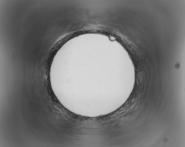 X0000116891206201001191758