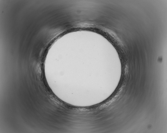 X0000116891209201001191758