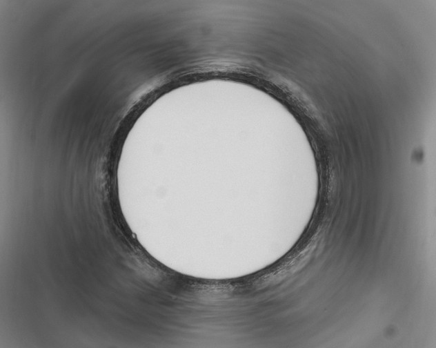 X0000116891210201001191758