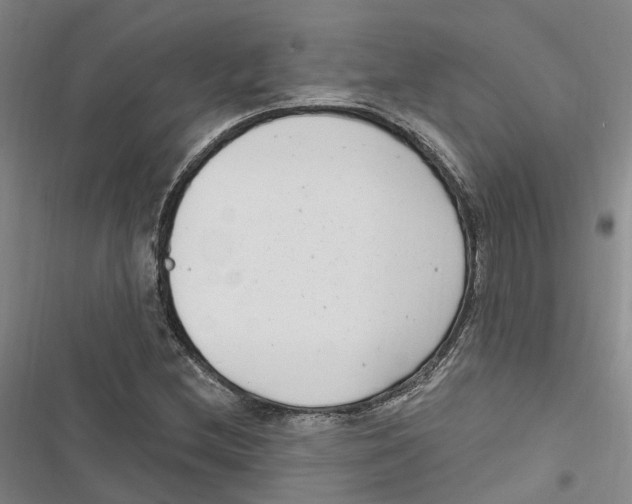 X0000116891212201001191758