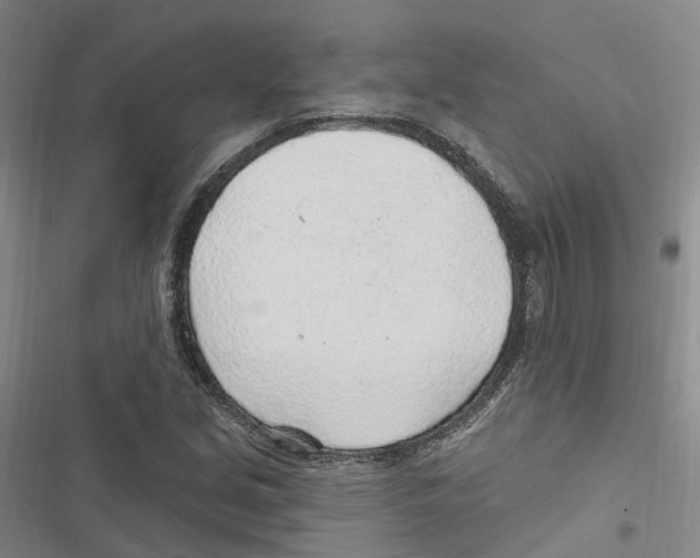 X0000116891213201001191758