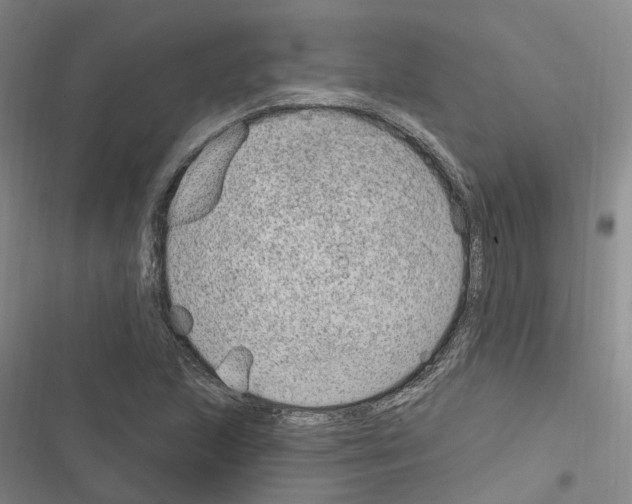 X0000116891215201001191758