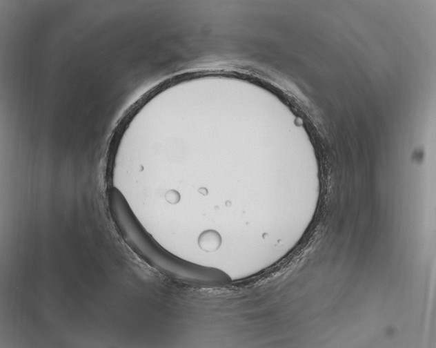 X0000116891216201001191758