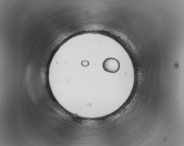 X0000116891217201001191758