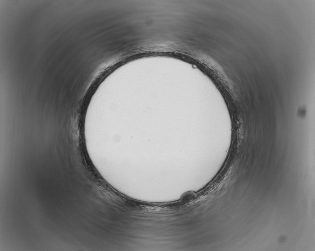 X0000116891218201001191758