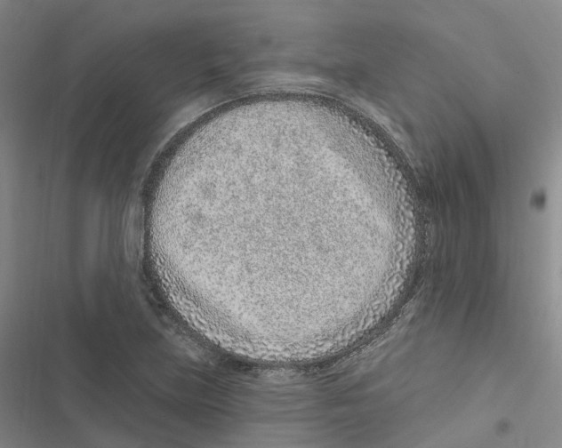 X0000116891219201001191758