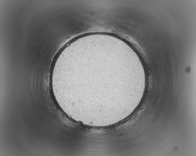 X0000116891220201001191758