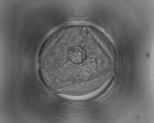 X0000116891221201001191758