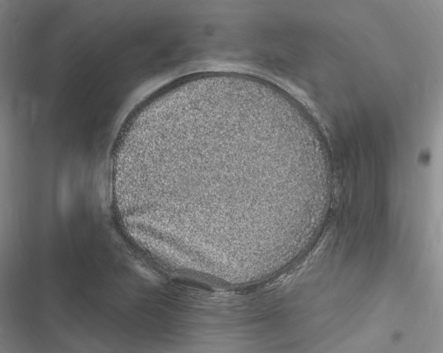 X0000116891223201001191758