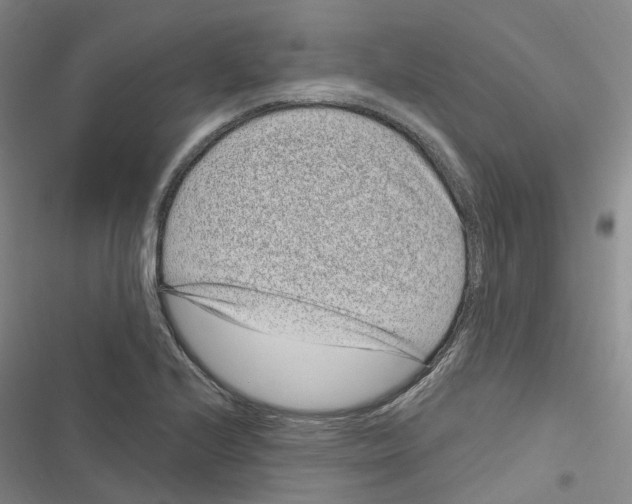 X0000116891224201001191758